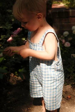 Baby Alex Overalls in Blue Gingham