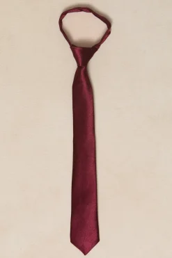 Boys Max Tie in Wine Satin