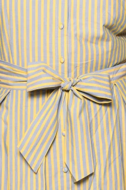 Glen Dress in Green Stripe