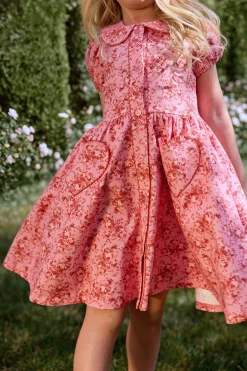 Mini Alayna Play Dress in Desert Heritage Rose