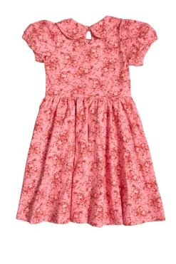 Mini Alayna Play Dress in Desert Heritage Rose