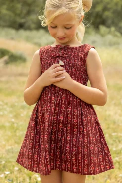Mini Ana Dress in Sequoia Felicity Floral
