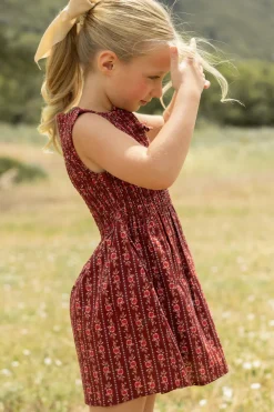 Mini Ana Dress in Sequoia Felicity Floral