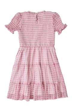 Mini Cordelia Dress in Desert Rose Gingham