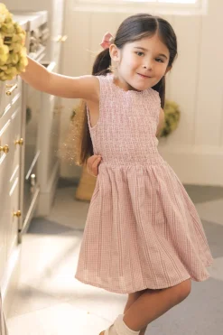 Mini Karla Dress in Pink Striped Gingham