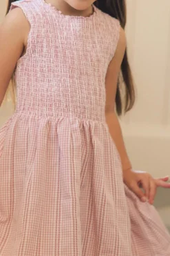Mini Karla Dress in Pink Striped Gingham