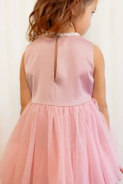 Mini Rainie Dress in Rose