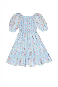 Mini Roselyn Dress in Blue Linear Floral Print