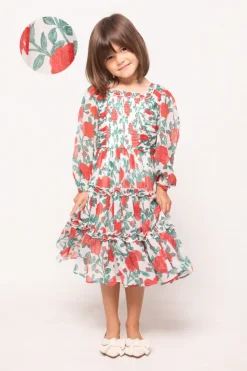 Mini Selena Dress in Red Roses