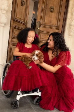 Mini Solange Dress in Burgundy Tulle