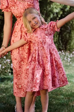 Mini Sophia Dress in Desert Heritage Rose