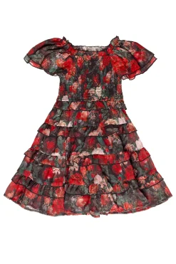 Mini Winnie Dress in Midnight Roses