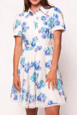 Penny Dress in Blue Floral
