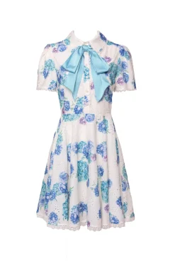 Penny Dress in Blue Floral