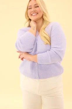Remy Sweater in Lavender