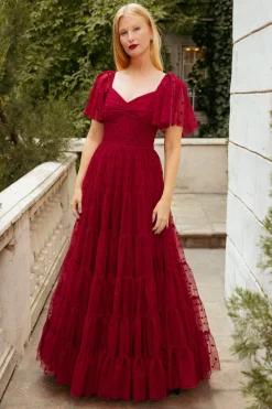 Solange Dress in Burgundy Tulle