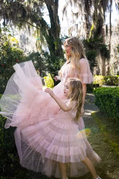 Whimsical Dress in Blush