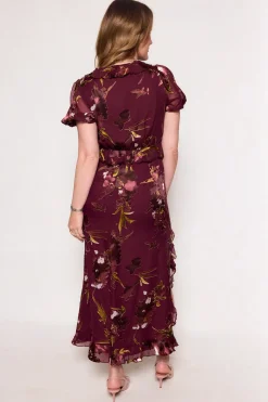Zamora Dress in Burgundy Floral